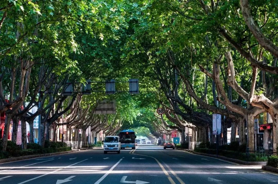 新手上路,请多关照